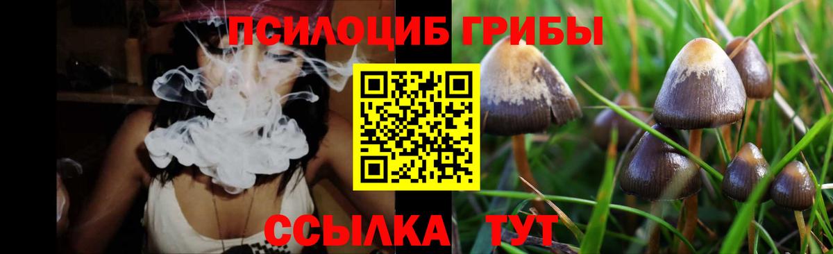 продажа наркотиков  Псилоцибиновые грибы GOLDEN TEACHER  Вход с VPN  Славянск-на-Кубани  Галлюциногенные грибы прущие грибы 